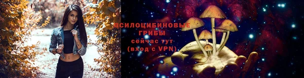 прущий лед Арсеньев