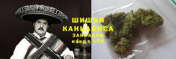 сатива Балахна