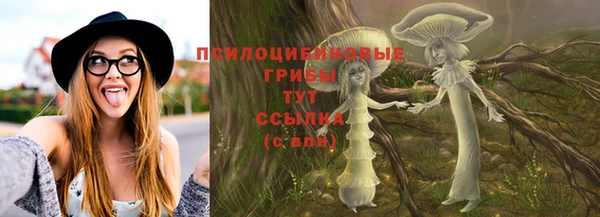 прущий лед Арсеньев