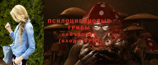 apvp Тайга