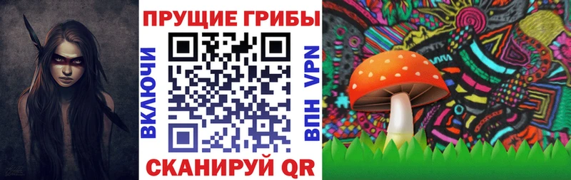 Псилоцибиновые грибы Cubensis  Усть-Лабинск 